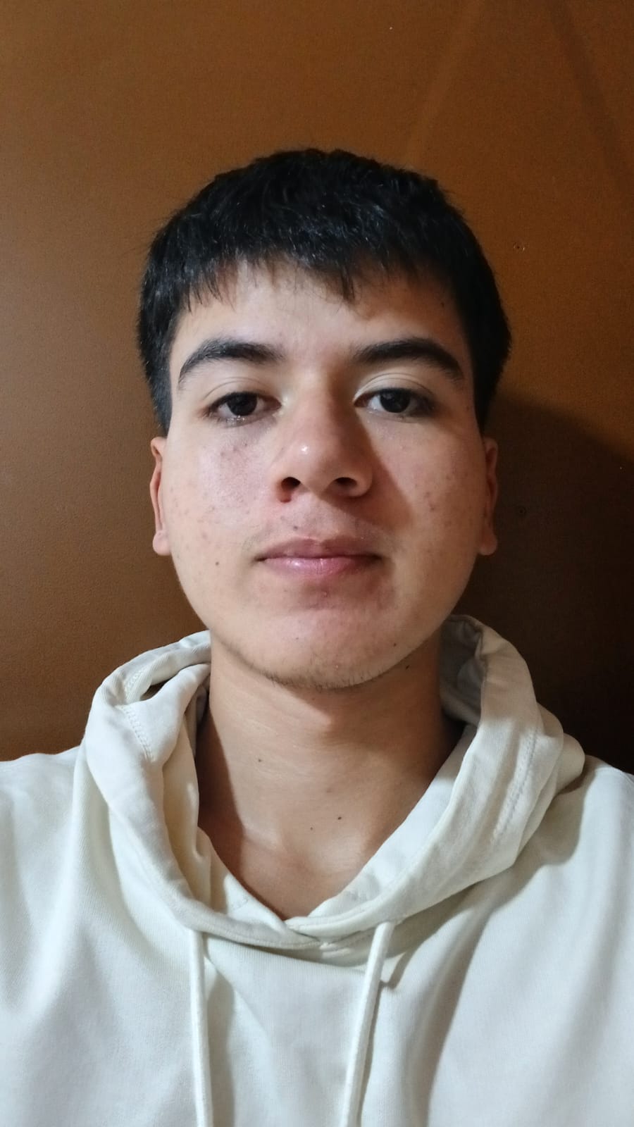 Daniel Sebastian Badillo Neira